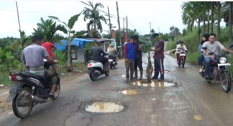 Protes Jalan Rusak, Warga Bagan Pete Tanam Pohon dan Memancing di Badan Jalan